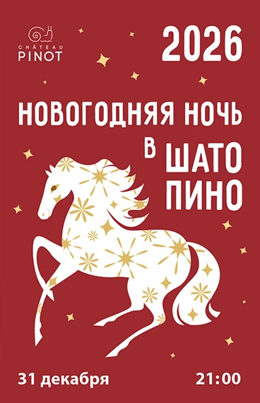 Новый 2025 год в Шато Пино