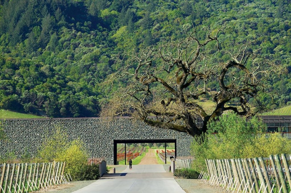 Какое каберне Напа 2023 года пить и когда?