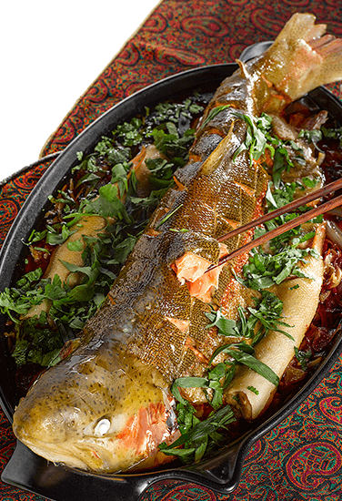 Форель речная Форель речная