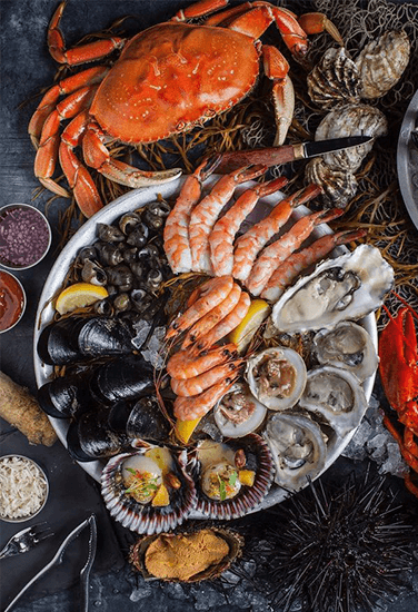 Твердые сыры Твердые сыры