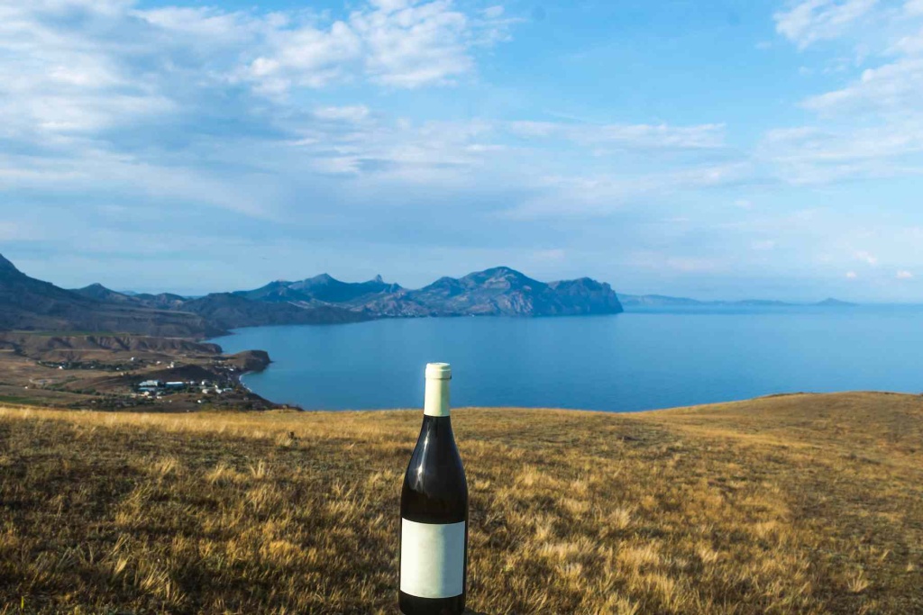 wine-nature (1).jpg