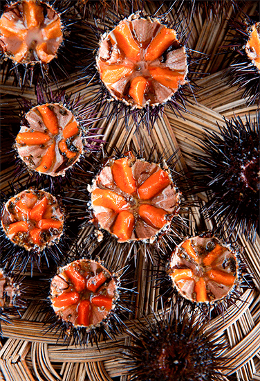 Морские Морские