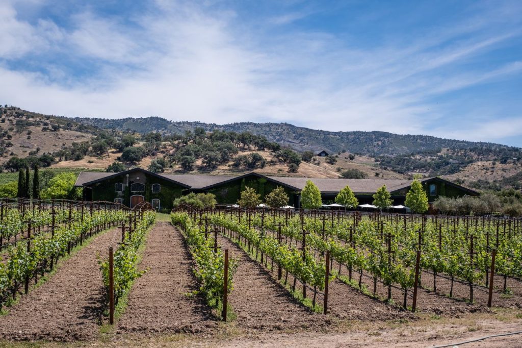 Калифорния снова на высоте: как виноделы штата покорили Decanter World Wine Awards 2026