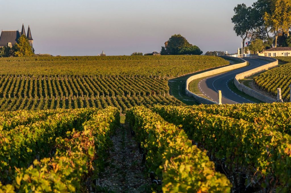 Бордо 2025 en primeur: всё, что нужно знать — инсайты экспертов Decanter