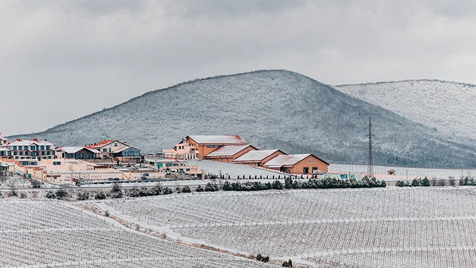 Винодельня Шато Пино зимой Винодельня Шато Пино зимой